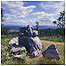 Heathland Index (Image: Whitbarrow c/o Natural England and Glendell)