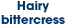 Hairy bittercress