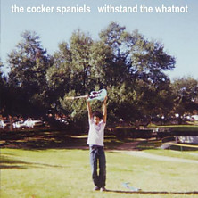 Review of Withstand The Whatnot
