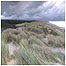 Newborough Warren dunes