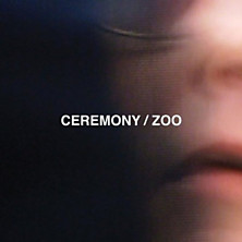 Review of Zoo
