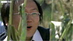 Hiro in the cornfield