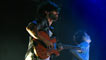 Foals