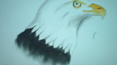 Eagle Eagle