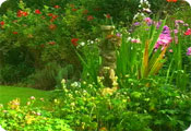 Summer garden