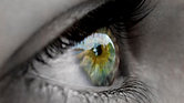 The Beautiful...