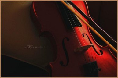 V for Violin