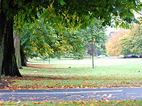 Stray, Harrogate