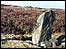 Ilkley Moor