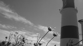 Light house