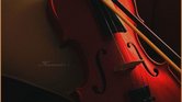 V for Violin...