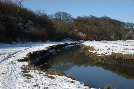 Seaton Sluice Dene