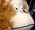 a toy monkey