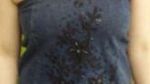 Trouser top Trouser top