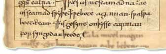 And thaes us ne scamath na, ac us scamath swythe thaet we bote aginnan swa bec taecan, and thaet is thesyne on thysse earman forsyngodan theode.