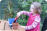 Half-fill the pot with soil
