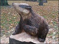 badger