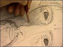 Drawing
