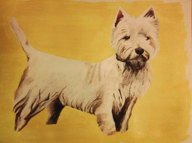 Small dog