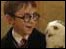 Harry Potter tour