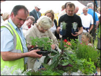 Plant stall