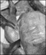 A chicken being carved