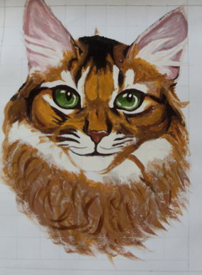 Tabby Cat