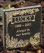 Pet grave