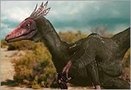 Velociraptor