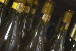 White wine bottles