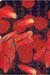 Alien Bodies book thumbnail