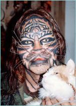 Stalking Cat