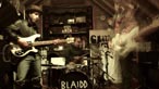 Blaidd