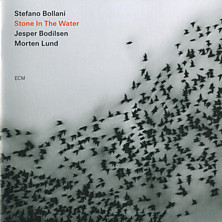 Review of Stone in the Water