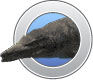 Giant Mosasaur