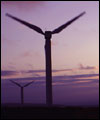 wind farm