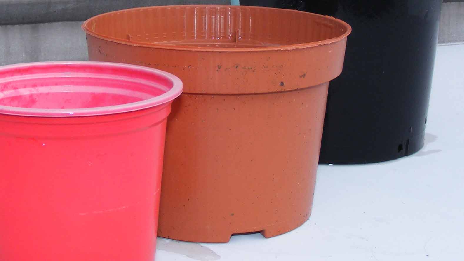 Matthew Wilson explains the historical significance of plant pots. Matthew Wilson explains the historical significance of plant pots.