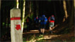 The crew head off into the dark woods towards the Cavern Cascade.