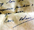 Adam's letter