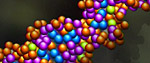 DNA