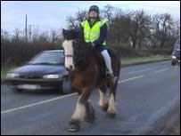 Horse