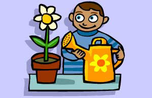 Pet plants