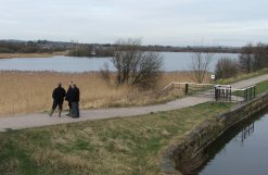 The Wigan Flashes