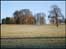 Eastnor deer park