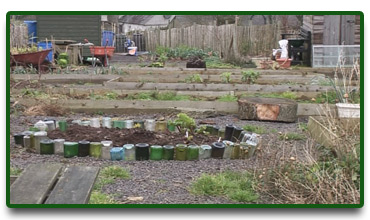 The MACS Allotment