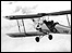 Tiger Moth