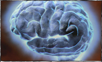 meet your brain graphic
