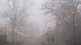 Winters day