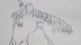Unicorn..
