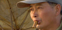 Bird trapper
